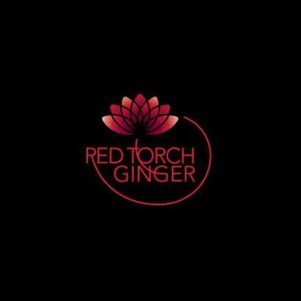 RED TORCH GINGER